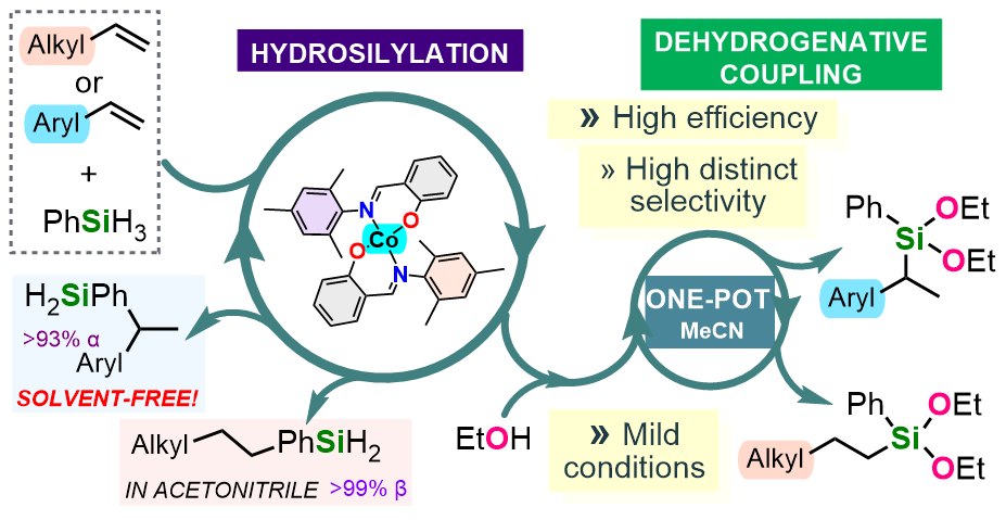 ChemComm publishes our research card image